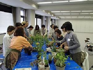 寄せ植えの様子1