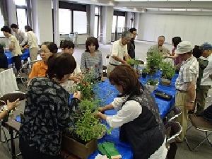 寄せ植えの様子2