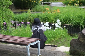 花を見る人の写真