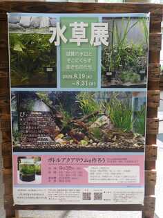 水草展のポスターの写真