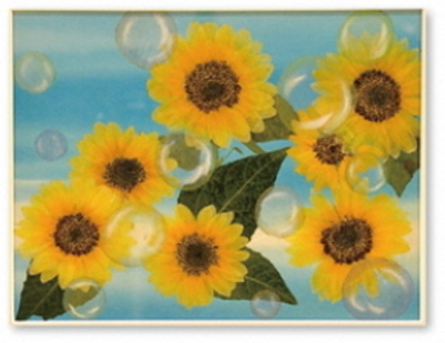 押し花の作品1