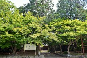 芦浦観音寺