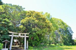 山田正八幡宮