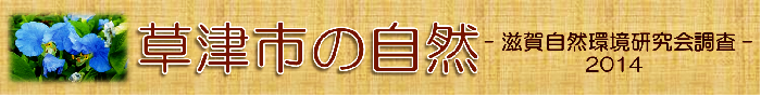 草津市の自然