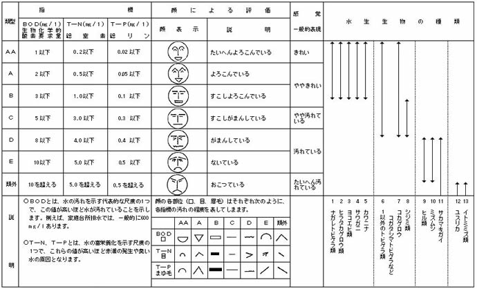 水質の環境管理基準