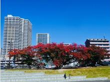 de愛ひろば