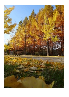 ロクハ公園