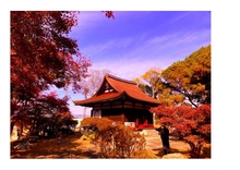 芦浦観音寺