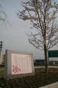 桜憲章碑