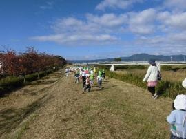 戸外遊びの写真