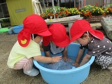 タライに張った水に手を浸すこどもたちの写真