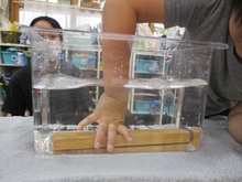 水の中に入れたものを手で押さえて沈める写真