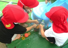 水遊びの様子（1歳児）