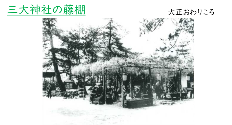 大正時代の三大神社の藤棚の様子