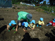 地域の方といもほりをしている写真