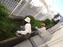 草刈りをしている写真