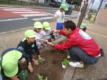 花苗を植えている写真