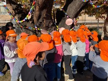4歳児が桜の木を触っている写真