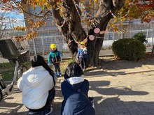 降園時に桜の木と写真を撮っている写真