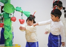 トマトを取る劇をしている写真