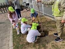 土を入れている写真