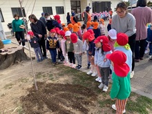植樹した桜の木の様子を見ている写真