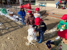 雪だるまを作っている写真