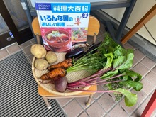 調理に使う、園で収穫した野菜の写真