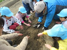地域の人に植え方を教えてもらいました