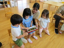 こどもたちが箱に入ったセミの抜け殻に触れている写真