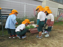 庭を観察するこどもたちの写真