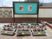 参観6