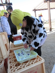 氷ができるを実験しています