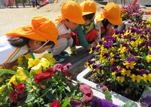 3歳児のこどもが4人で虫を探しています。
