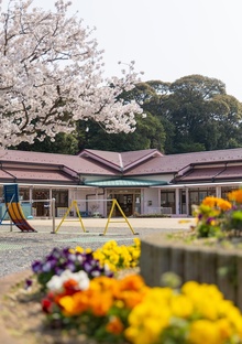 桜が咲いているこども園の景色