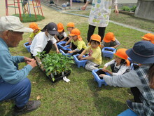 苗を植える準備をするこどもたち