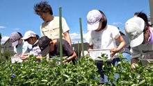 第7回草津キッズシネマ塾