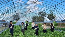 第8回草津キッズシネマ塾