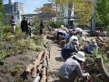 植え付けの様子です。