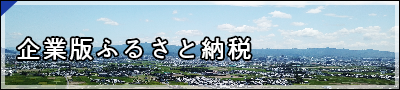 企業版ふるさと納税