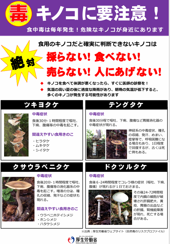 毒キノコに要注意のチラシ。詳細は下記リンク先にPDFチラシがあります。