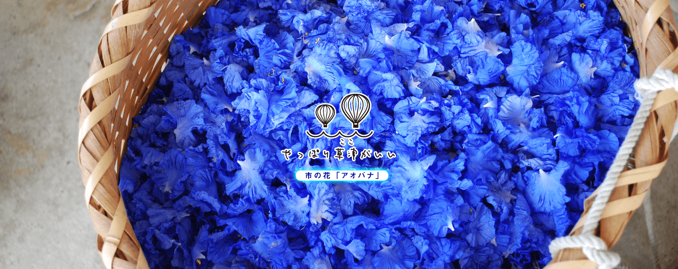 市の花　アオバナ