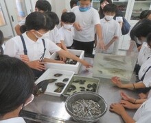 授業の様子1