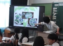 様子（1）