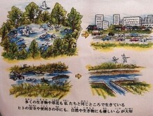 様子（3）