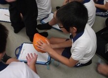 協働の様子