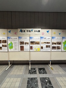 展示の様子