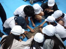 草津第二小学校のようす