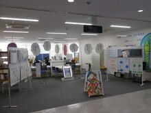 パネル展の様子