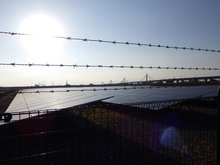 メガソーラ発電所の写真2